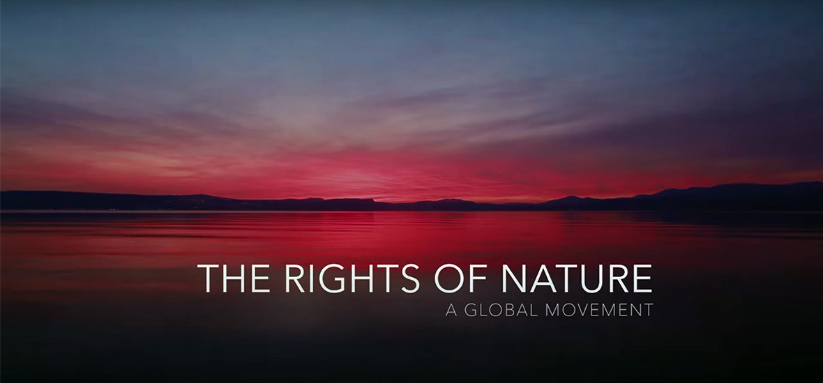 The Rights of Nature: A Global Movement