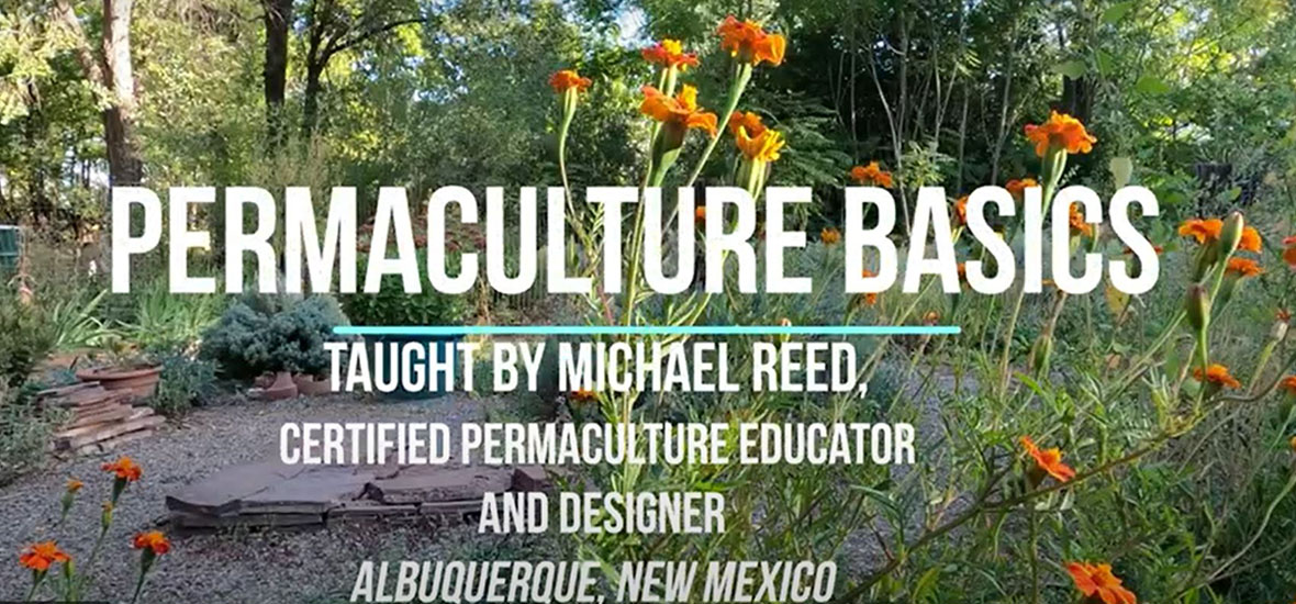 Permaculture Basics by Michael Reed
