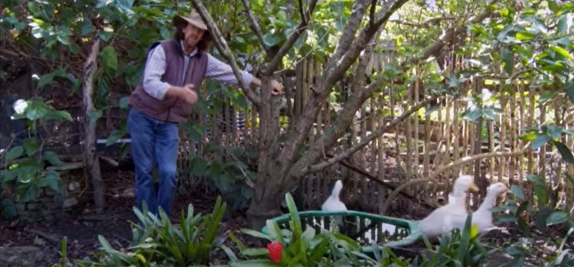 Urban Permaculture with Geoff Lawton